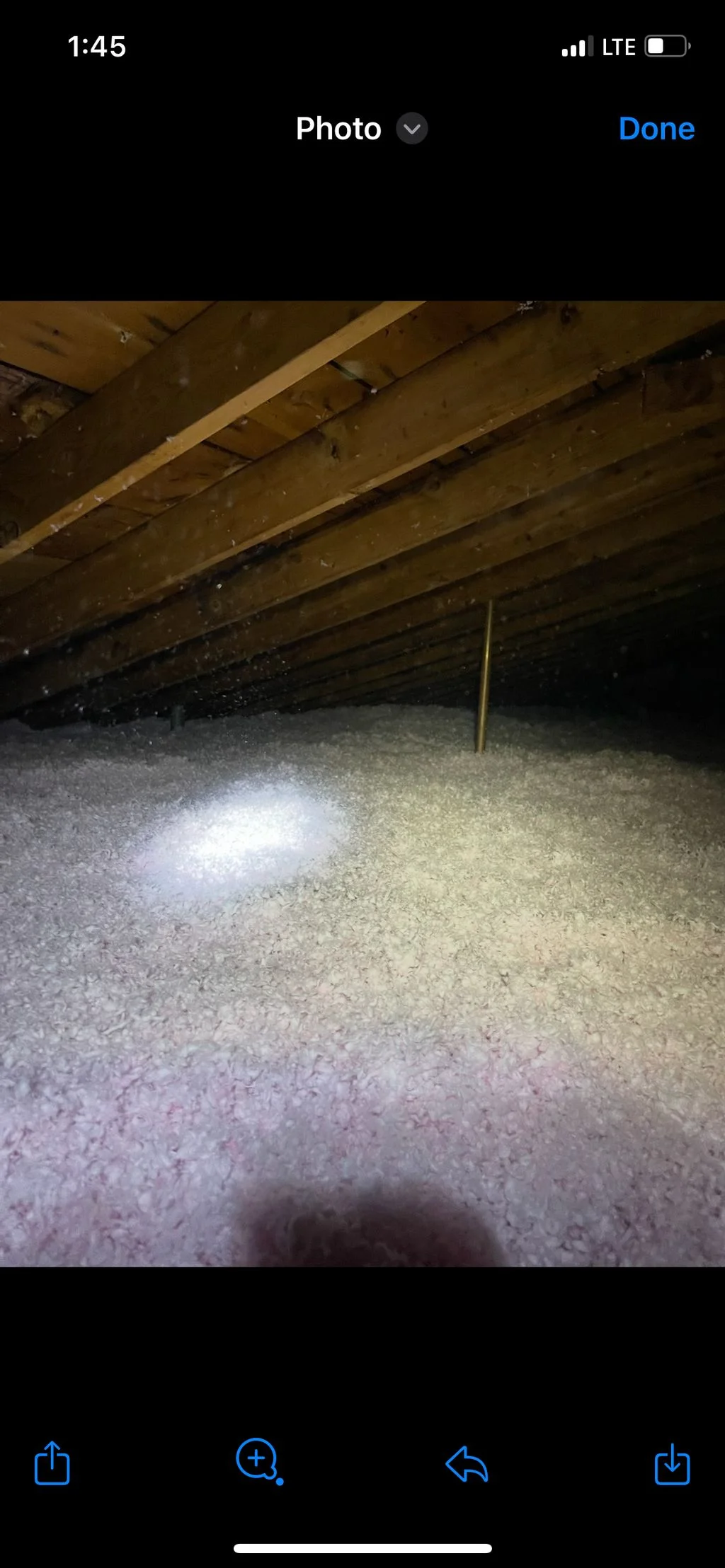Cellulose insulation